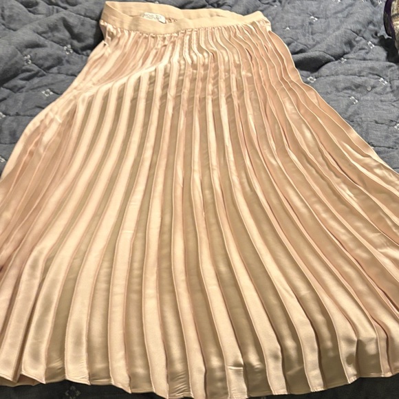 Rachel Zoe Blush Pleated A-Line Skirt - Picture 2 of 4